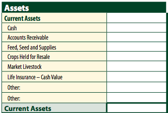 Farm Balance Sheet Current Assets